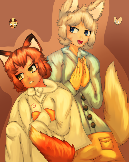 Fantastic Mr Fox Humanization