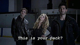 poisonandacure:  Derek, you can’t just go around turning teenagers into werewolves! It draws a lot of attention–it’s dangerous! Don’t give them an excuse to come after you…don’t give me more reason to worry.Hunter!Stiles Sterek AU: How to