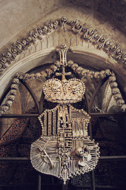 dwildchild:  Sedlec Ossuary