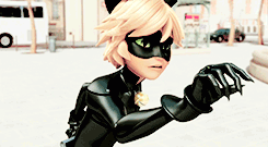 thelightinourheart:Chat noir