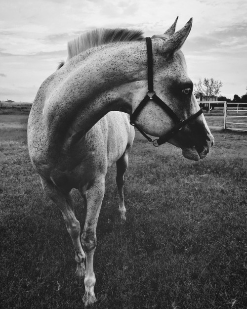 imagination-infatuations: what it looks like: casually posing what she’s thinking: the barns that wa
