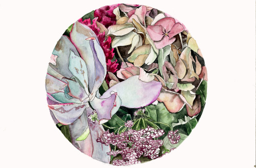 hallierosetaylor:  06.17.14 This is drawn from some snapshots I took of a stunning floral arrangement by my friend Sammy of Bricolage.    Wish I could paint everything this lady makes! 