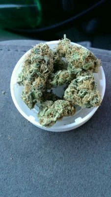 Nuug-Lyfe:  Blue Dream 4 Lyfe 