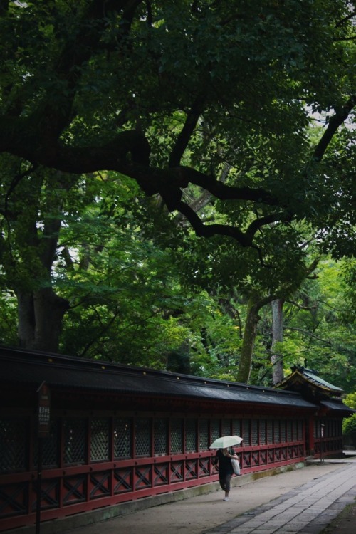 tokyotuisku:Slight rain