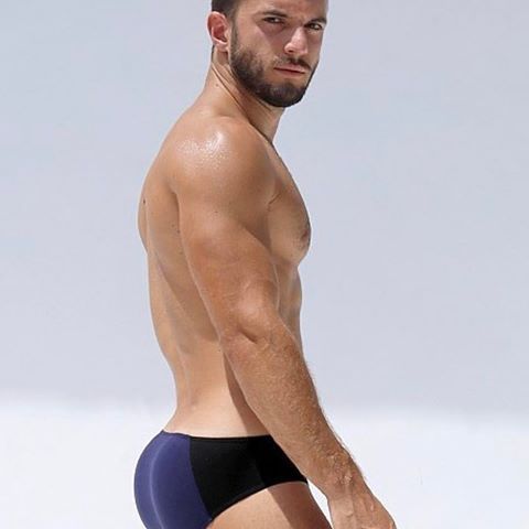 Speedo Celebration