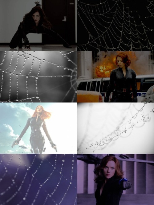 asexualwallcrawler: Asexual Aesthetics:Natasha Romanoff