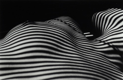 Nu Zébré, New York by Lucien Clergue, 2013 Via Odon Wagner Gallery