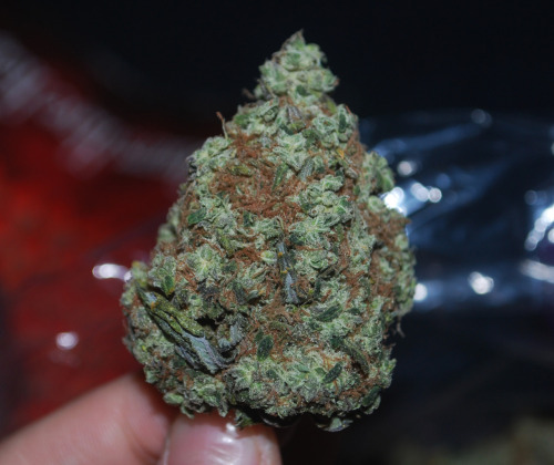 thecannabisbabe:  T h e C a n n a b i s B a b e  