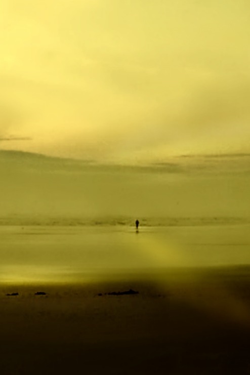 seagirl49:  © Susan Kramer 2015 All Rights ReservedLong Beach Peninsula Washington