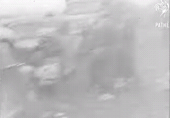 antifainternational:  kevin920:  antifainternational:    We are sharing some of our favourite gifs each day this month for Antifa International’s fifth anniversary. Today: Some scenes from the defeat of Nazi Germany.  Well the main imperial german flag
