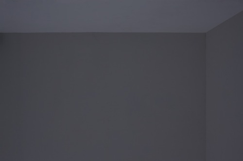 Naoki Ono and Yuuki YamamotoPeel, 2012