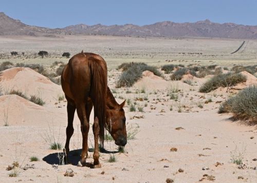 Namibia 2023/24 - Tag 12