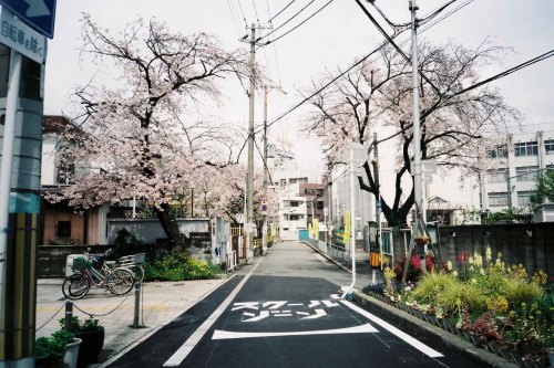 XXX kunihito-miki:    | FUJI COLOR 100 | instagram photo