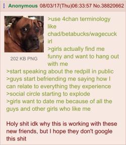 tales-of-4chan:  Robot finds social success from using 4chan