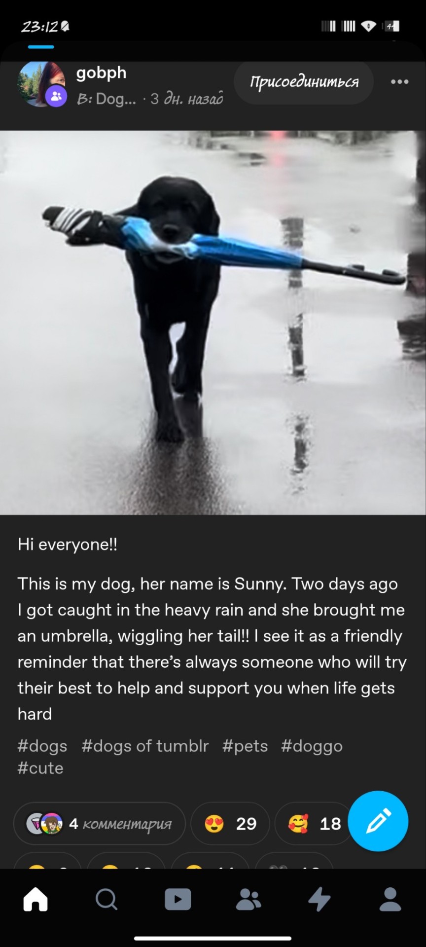 Tumblr media