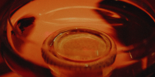 Vaundy On Tumblr