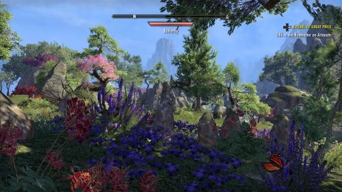 Summerset is so beautiful 