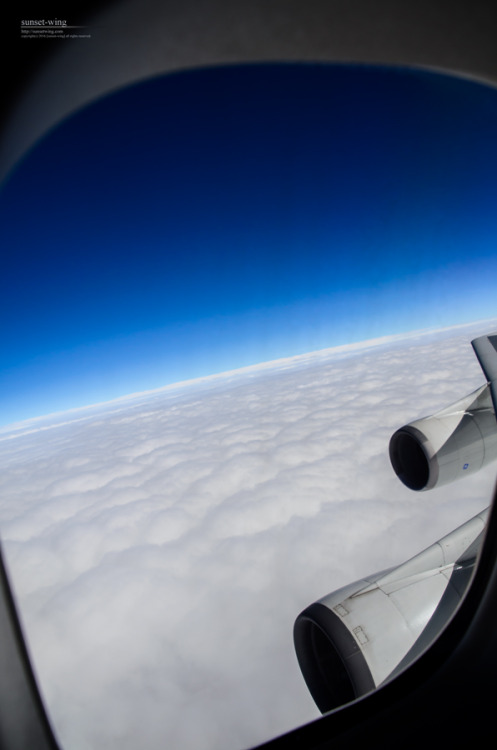 sunset-wing:  Photography by sunset-winghttp://sunsetwing.com/All Nippon Airways Boeing 747