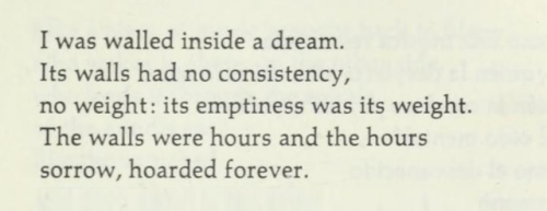 Octavio Paz, ‘A Waking;, A Tree Within (trans. Eliot Weinberger)