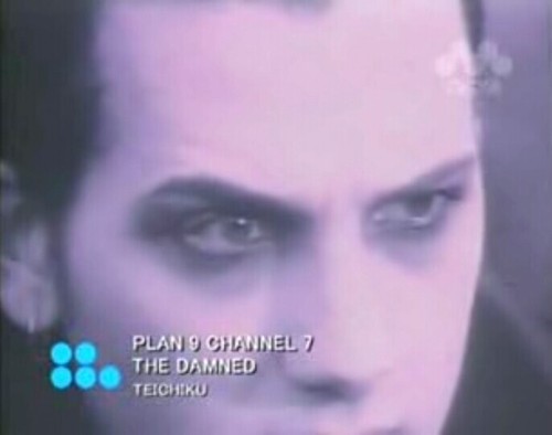 gothiccharmschool:dykevanian:fallopianrhapsody:Vanian eyebrow game strong af:)::archives post::::ope