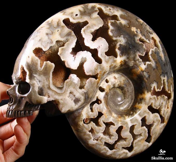 cutequeerandangry:  mineralists:  Skullis Skulls request for Zoerussle Skulls in