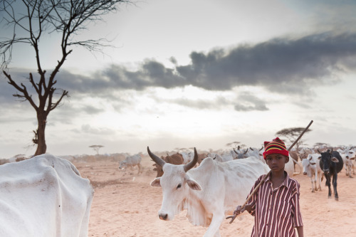 The World’s Largest Refugee Camp: DadaabWorld Refugee Day 2014: More than 50 million people displace