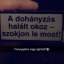 i-o-n-y
