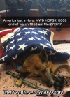 mnguy45:jd666:painterr59:Dogs are awesome.Old dog handlers never forget their partners.