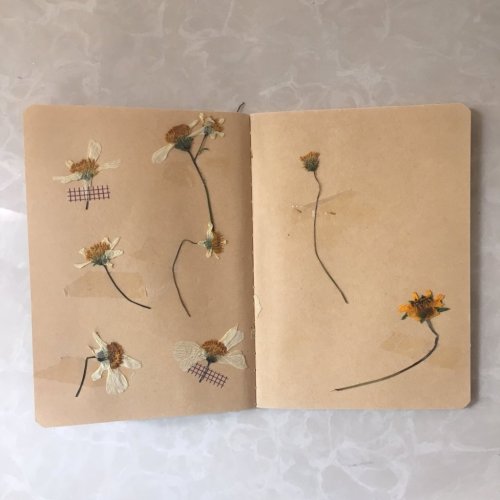 scribbleggs:  my fav journal entries in my little flower-themed journal 