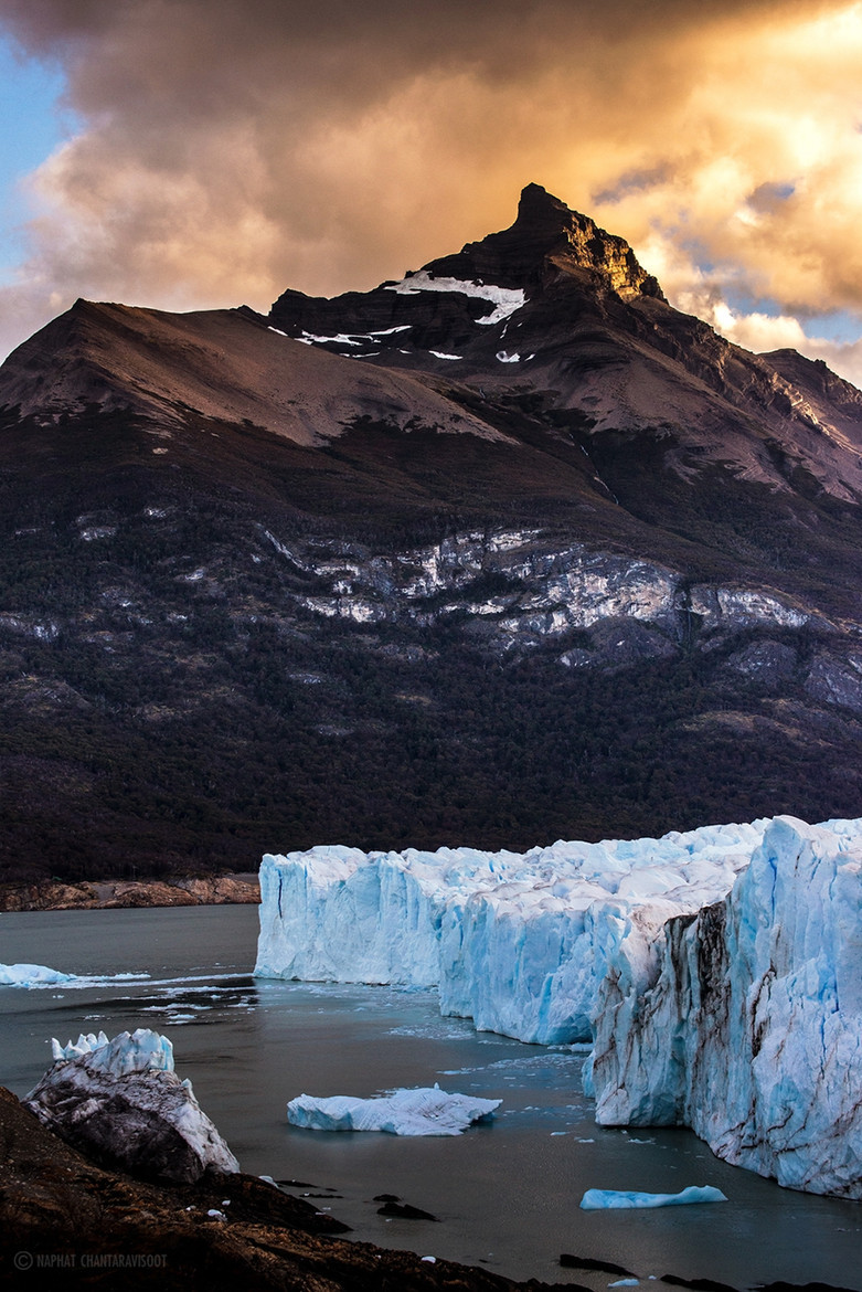 visualechoess:  Gold and Blue  - (via) | VE 