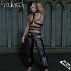 Hakash For M4 Hakash For M4 Is To Complement The Hakash For V4 Outfit. It Consists