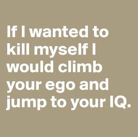advice-animal:  An Insult Oscar Wilde Would Be Proud Ofhttp://advice-animal.tumblr.com