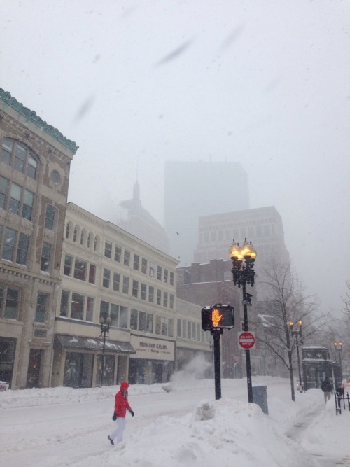 neornithes:  Copley Square, 2/9/15