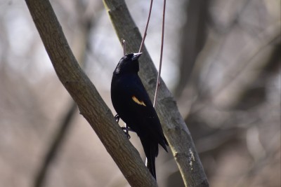 Porn way-out-there:Stopping by Botanical Gardens photos