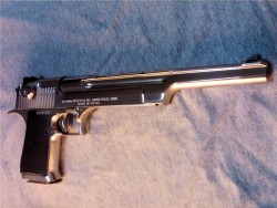 gunrunnerhell:  Desert Eagle XIX A polished nickel finished Desert Eagle chambered in .44 Magnum. Has the rather uncommon 10” barrel. The longer barrels are mostly used for silhouette shooting or hunting.  Personally I hate the bright polished nickel