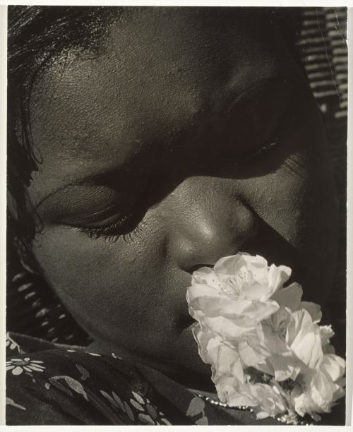 nobrashfestivity: Consuelo Kanaga  Frances with a Flower, early 1930s. Gelatin silver photograph, Im