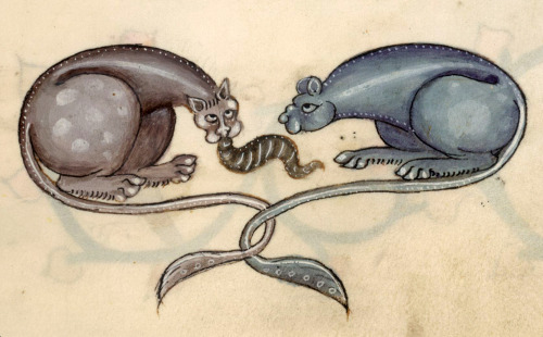 bipedal cat monsters eating a leech?Luttrell Psalter, England ca. 1325-1340.British Library, Add 421