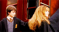  Harry Potter meme ♦ five relationships [5/5] : Harry, Ron, Hermione, &amp;