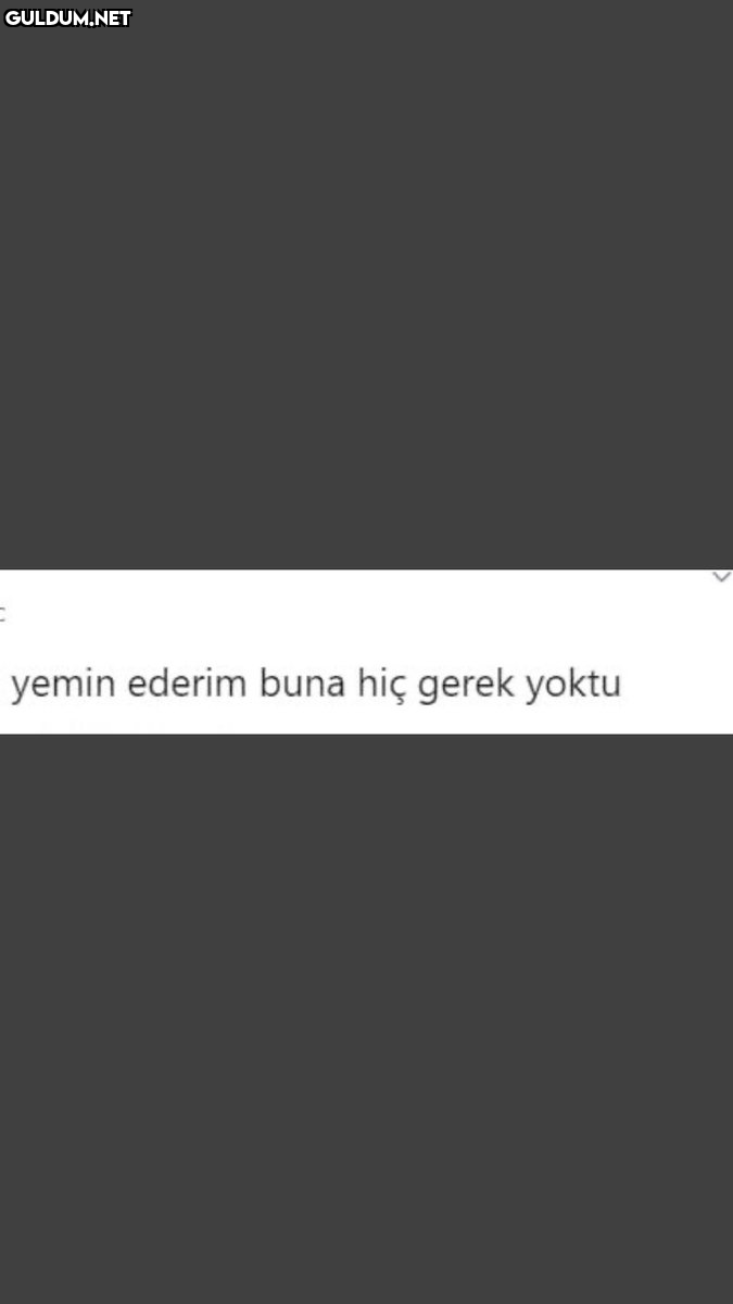 yemin ederim buna hiç gerek yoktu