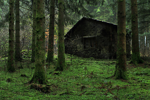 l0thl0rien:  breeze-under-dusk:  Dead World Assembly - darkface: Abandoned (by fidelio_88)