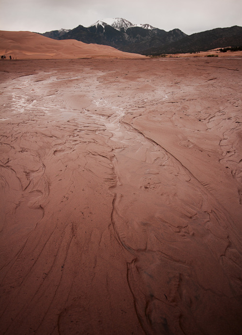 “Where the Sands Meet the Mountains”