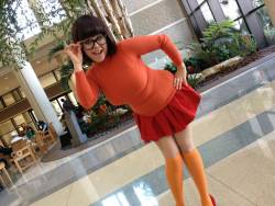 cosplay-paradise:  Velma Dinkley (Envyus-cosplay)cosplayparadise.net