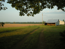 mycountrylifeblog:  Barns and Fields in Enfield