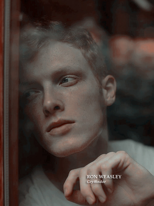 siruisblack:  “First — to Mr Ronald Weasley… for the best-played game of chess Ho