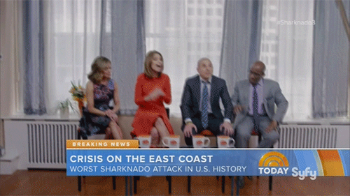 littleprincessaubrey:  ultimatemoviefanatic:  The Today Show gets hit by a Sharknado  lmfao  shanedog09 lol