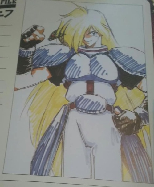 faline-cat444: Some of the first pages in Slayers DX are color versions of the character profile pages in the series encyclopedia