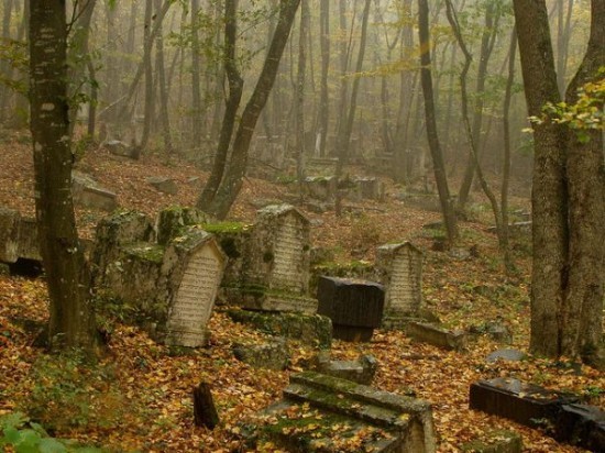 madmothmiko:  Karaite Cemetery (Crimea)  Hidden in wooded Iosofatova Valley near