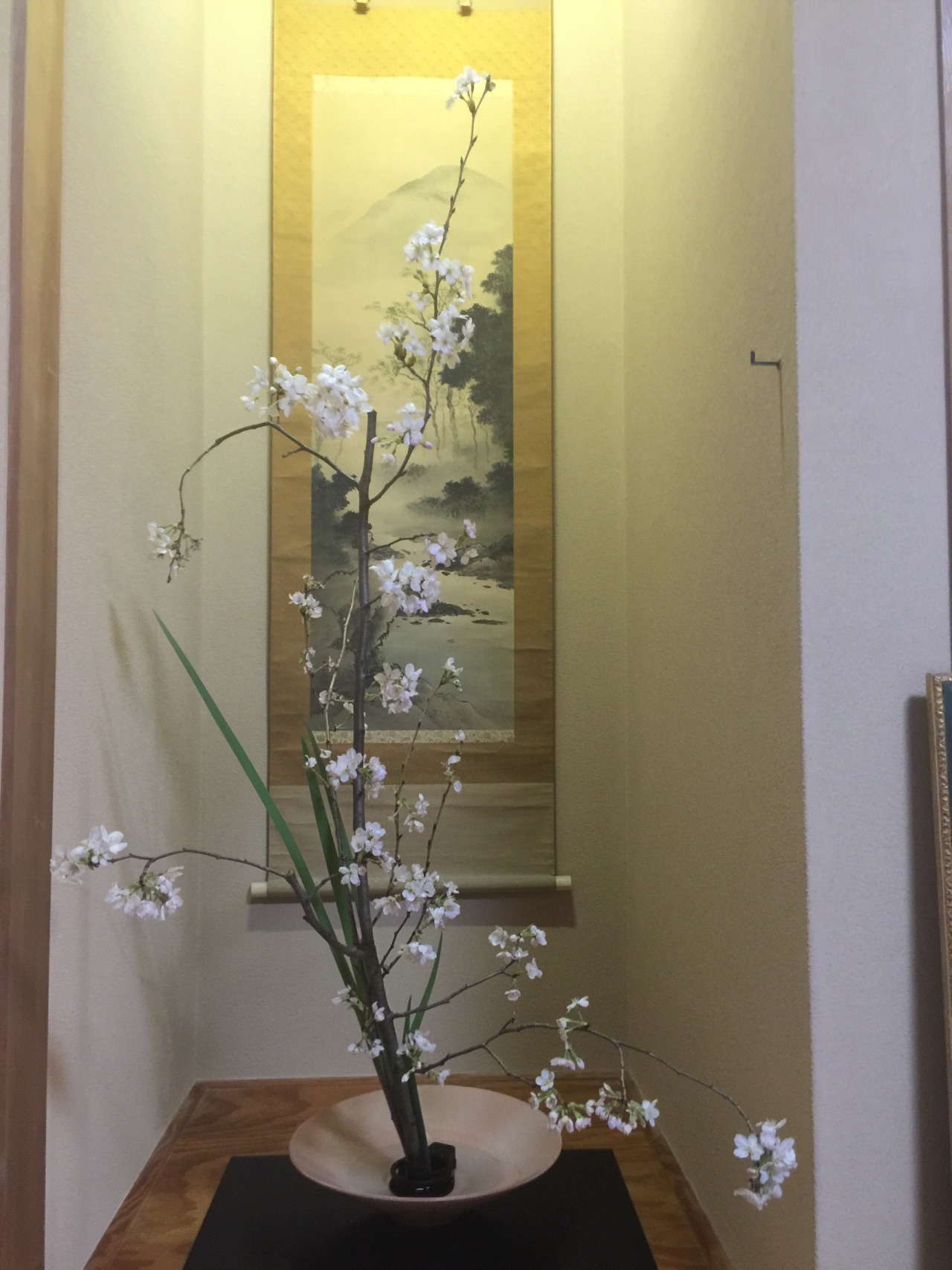 marihoyamada:  生花 体用相応 花材:染井吉野(そめいよしの)、オクロレウカの葉