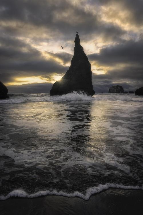 amazinglybeautifulphotography:  Golden hour at the Oregon Coast [OC][1200x1800] - Author: takepacific on reddit