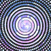 hypnosischarmer-1998:Such a pretty little spiral isn’t it 